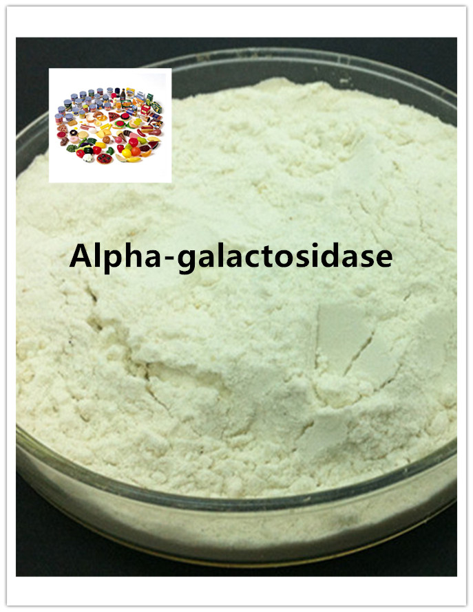 α galactosidase α galactosidase