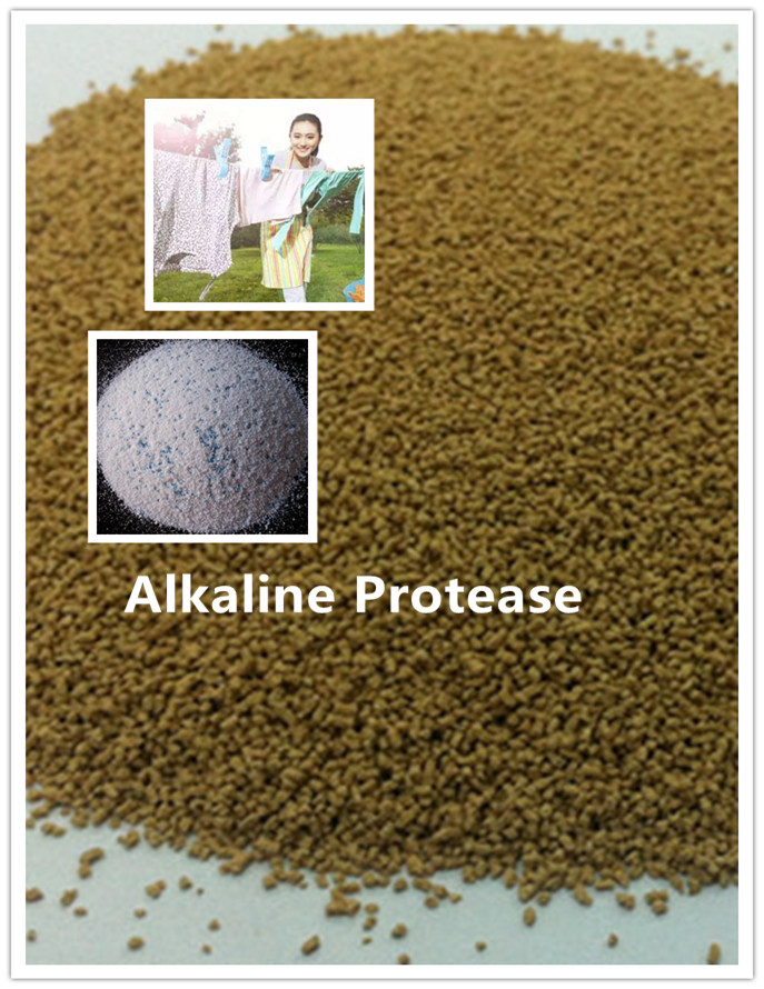 alcalina alcalina