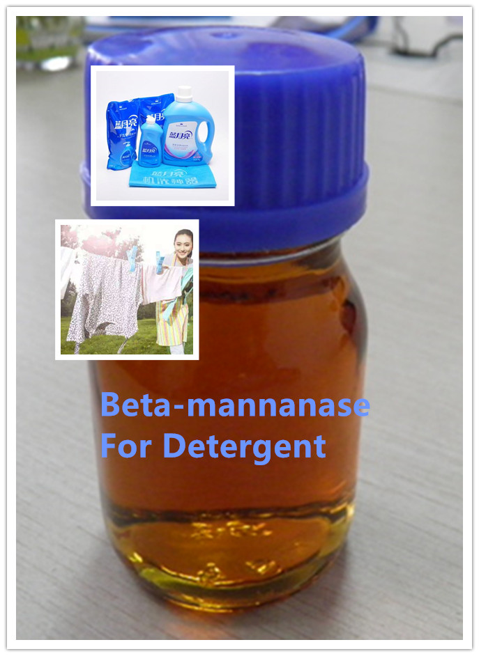 beta mannanase enzima beta mananase