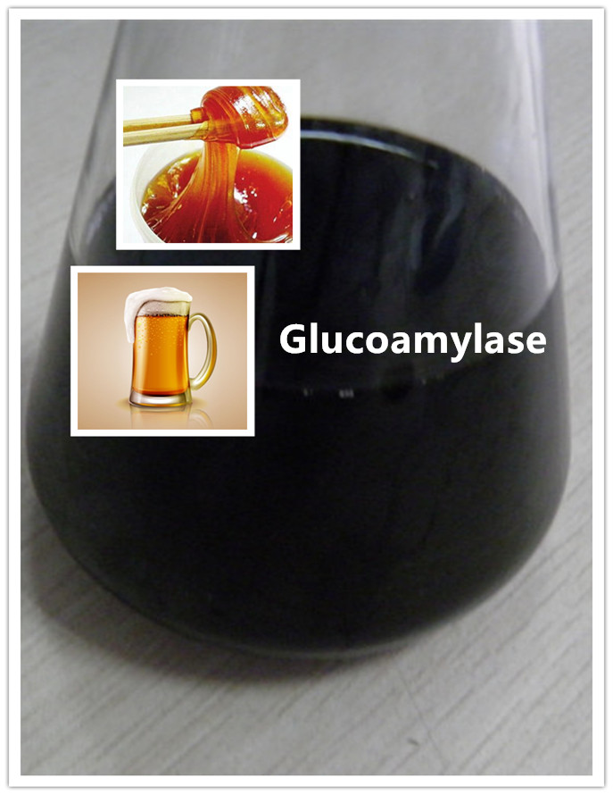 gluco amylase Gluco amilase