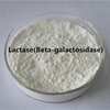 Lactase