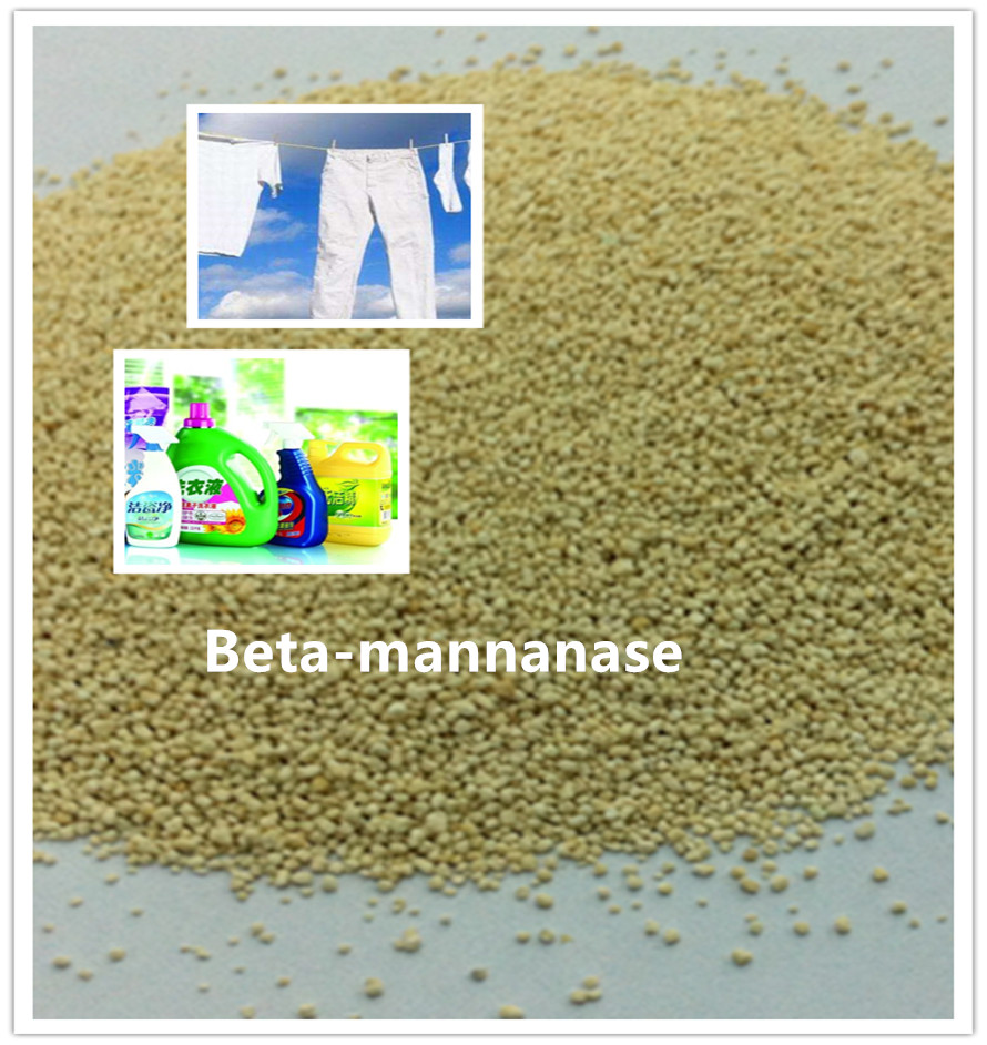 beta mannanase enzyme beta -mannanase