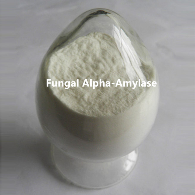 Alpha Amyalse fúngica