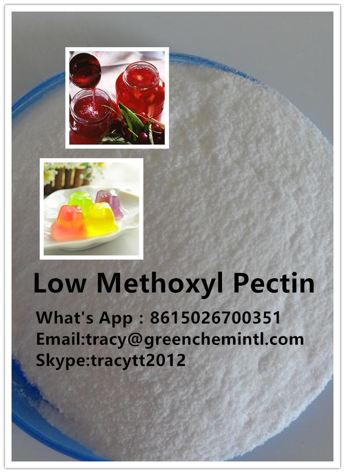 food additive pectin aditiva alimentar pectina