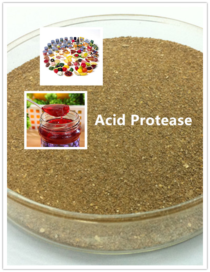 acid protease Protease ácida
