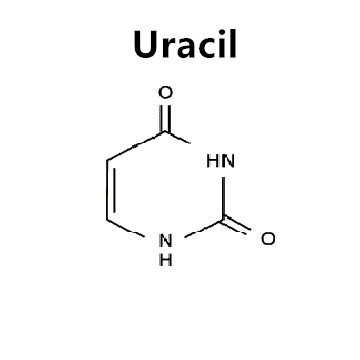 uracil