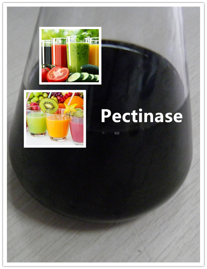 pectinase enzima pectinase