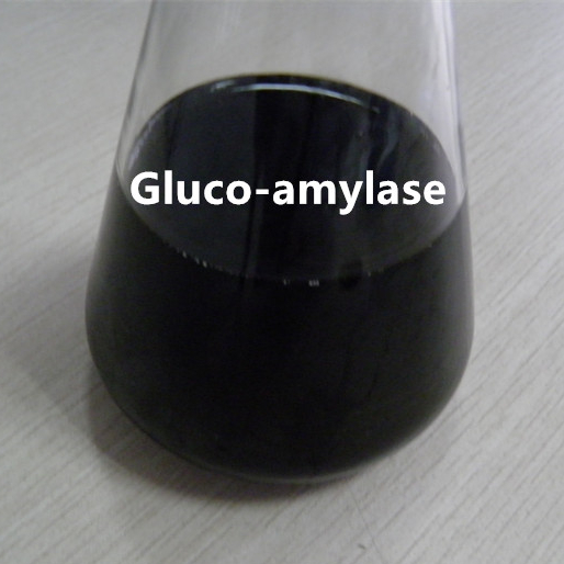 Gluco amilase