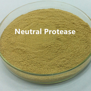Protease neutra