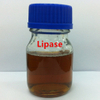 Lipase