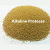 Protease alcalina