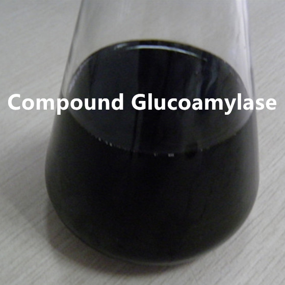 Glucoamilase composta