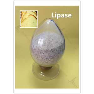 Lipase