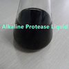 Protease alcalina