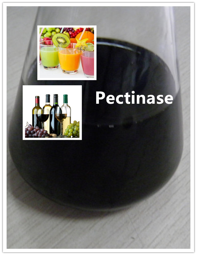 pectinase enzyme pectinase