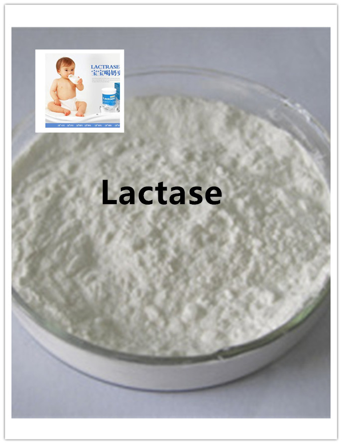 lactase lactase