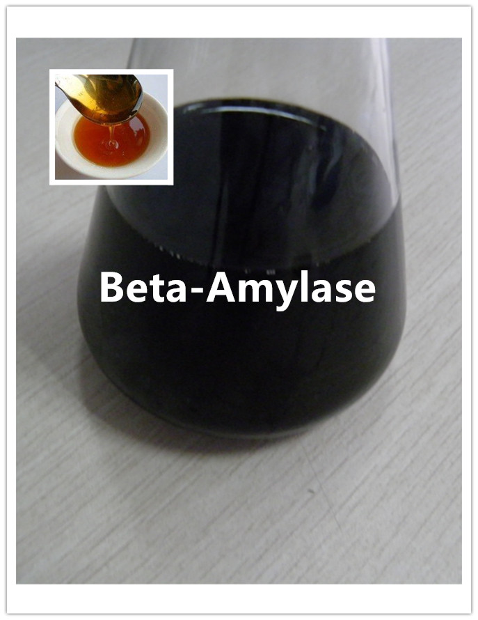 enzima beta amilase 