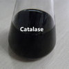 Catalase