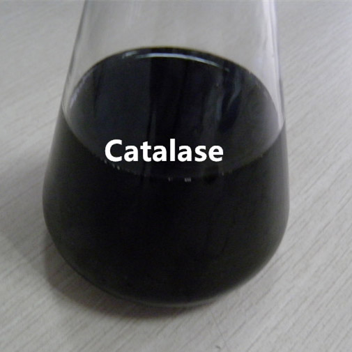 Catalase