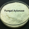 Xilanase