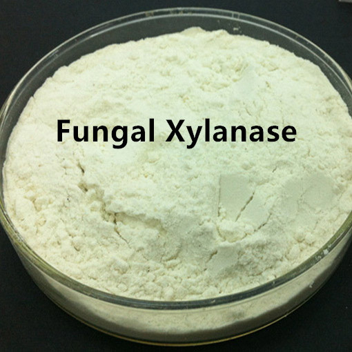 Xilanase