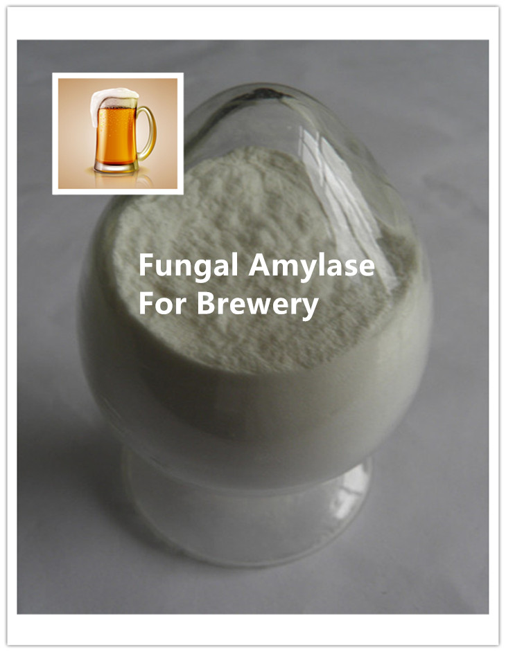 fungal alpha amyalse enzyme Alpha Amyalse Enzima