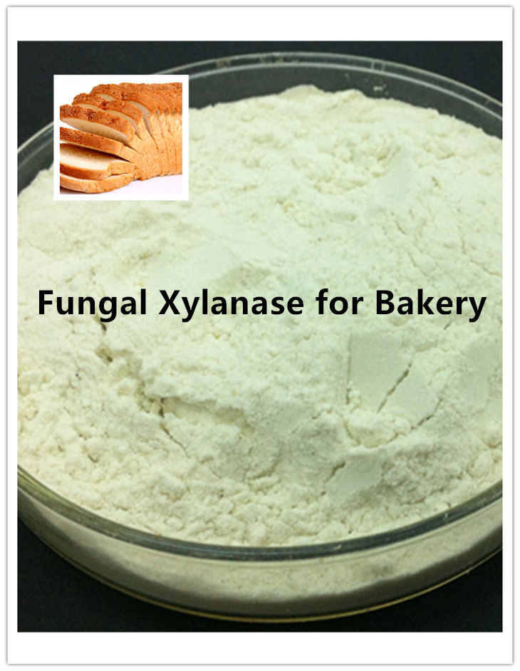 xylanase xilanase