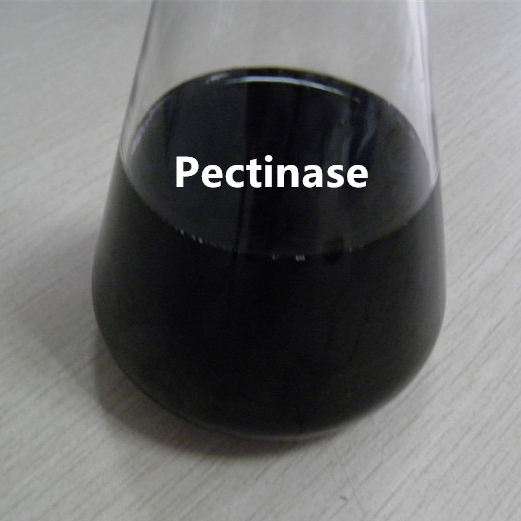 Pectinase