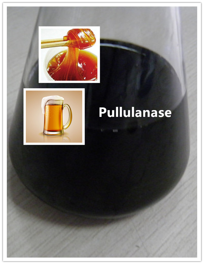 pullulanase Pullulanase