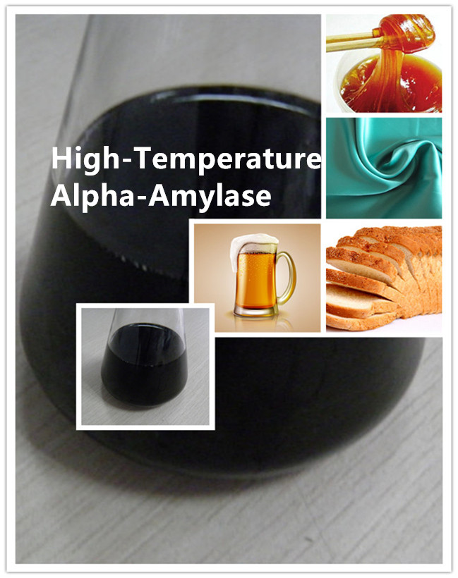 amylase amilase