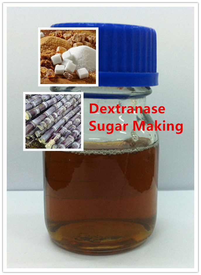 dextranase dextranase