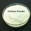 Catalase