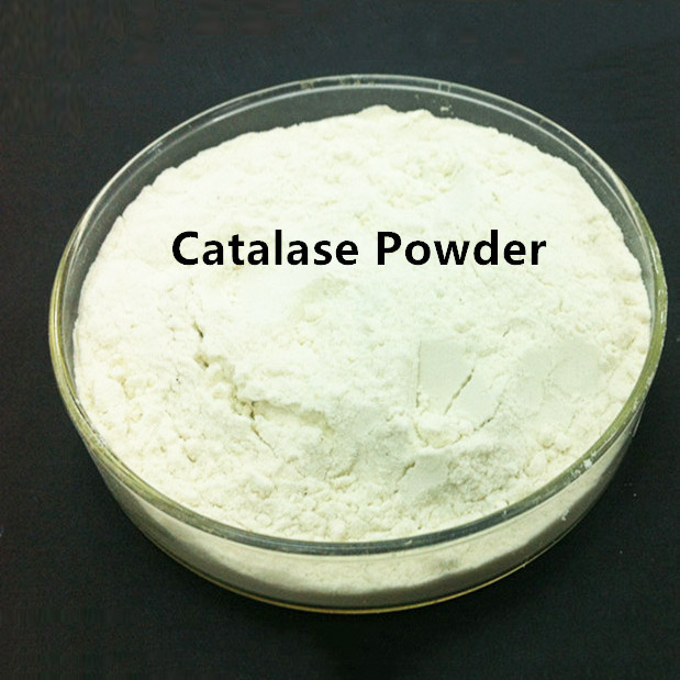 Catalase