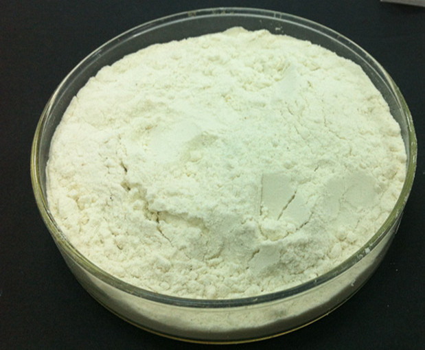 dairy enzyme Enzima leiteira