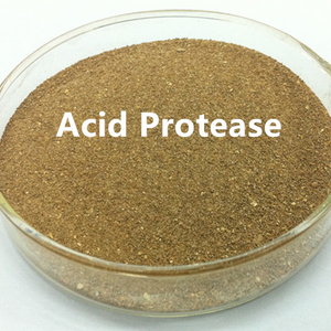 Protease ácida