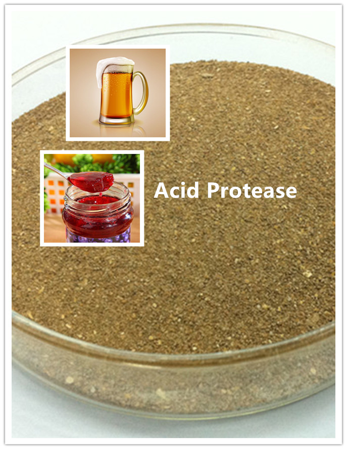 protease protease