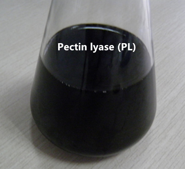 Pectina liase (PL)