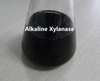 Xilanase alcalina termoestável
