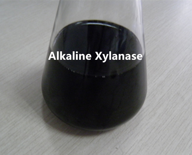 Xilanase alcalina termoestável