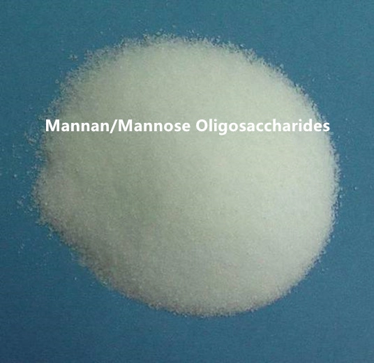 Compreendendo os benefícios e aplicações potenciais dos oligossacarídeos manose