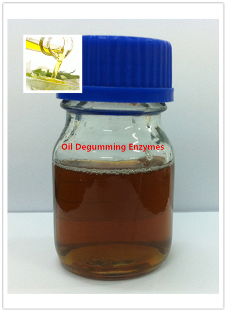 Enzimas degumming de petróleo